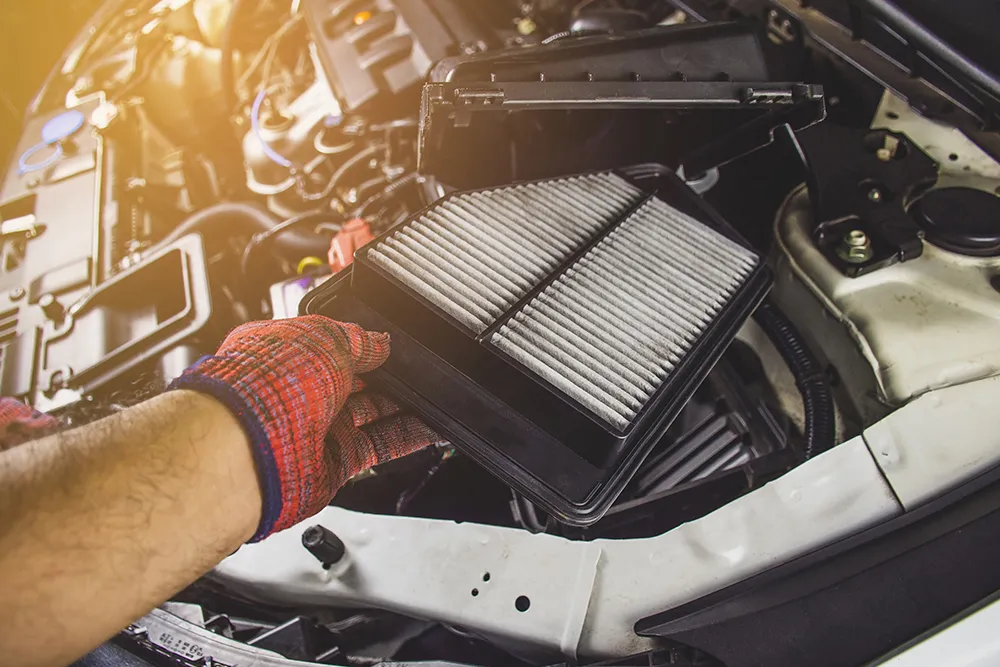 101 on Auto Fluids & Filters